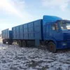 перевозка животных в Казани