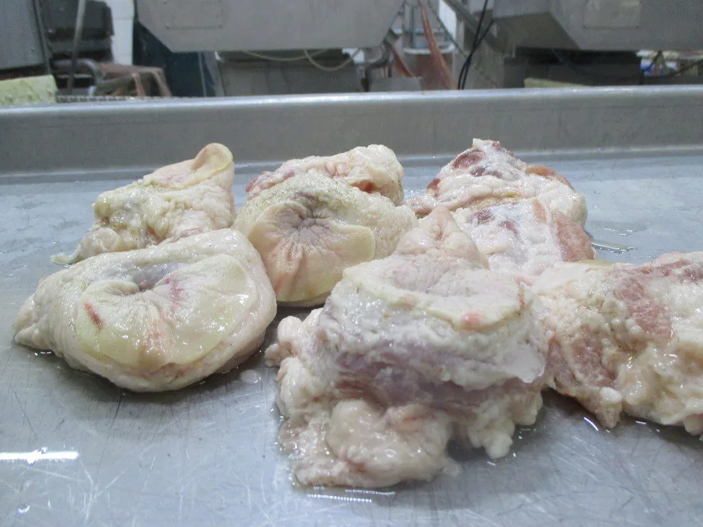 жир кишечный свиной замороженный в Липецке