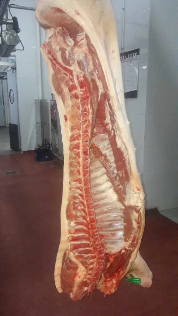 свинина оптом 150 р./кг в Буинске