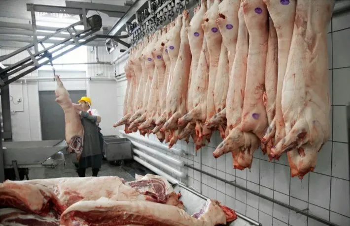 фотография продукта Свиноматок хряков приобрету мясом
