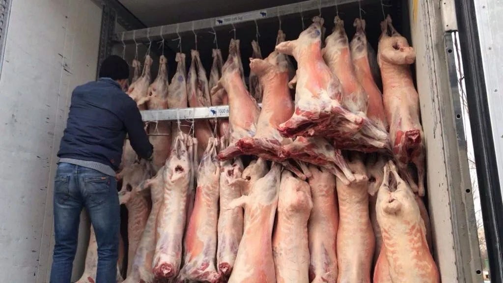 продаю мясо баранины (курдючное) в Казани