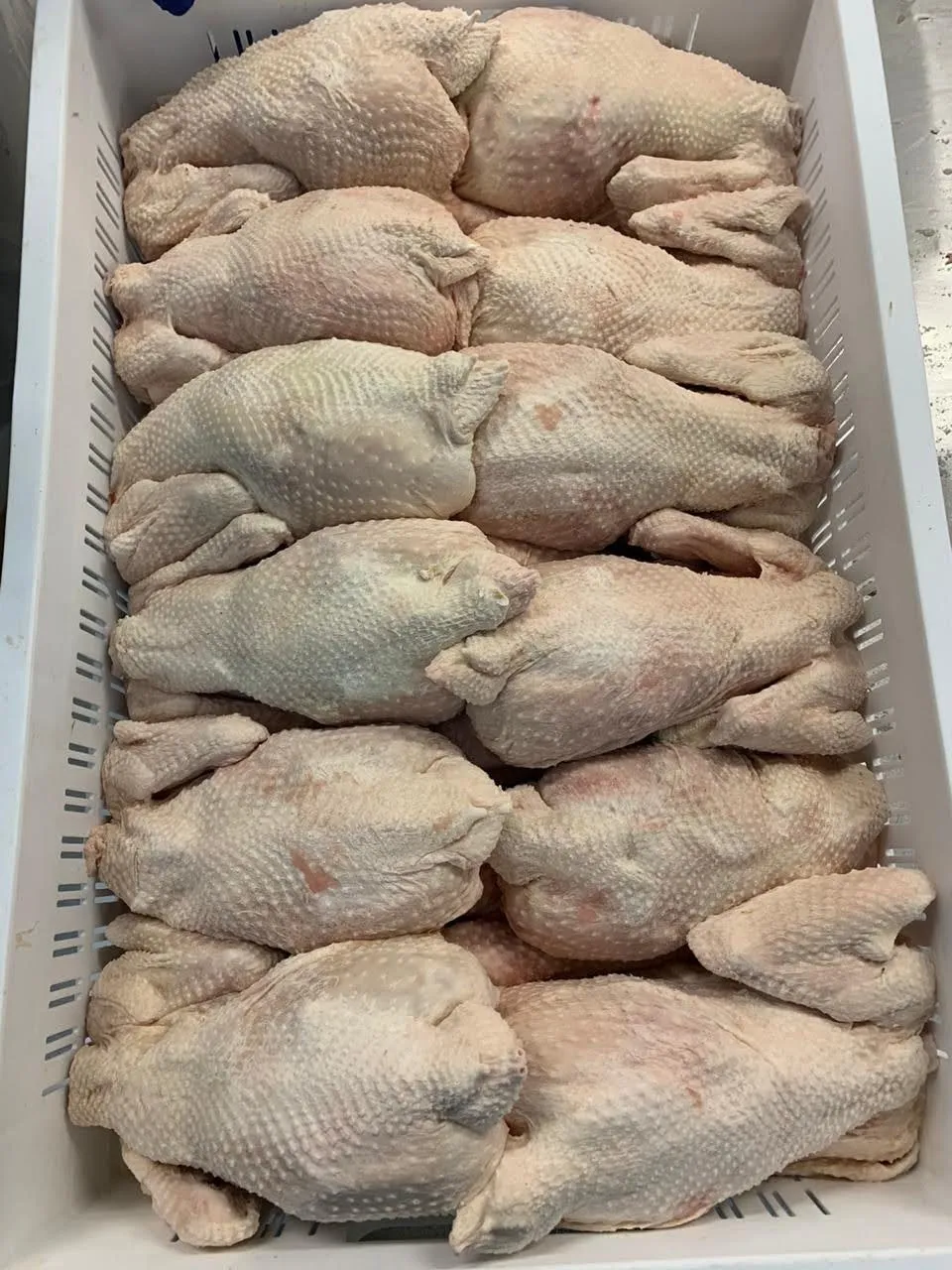 курица несушка (суповая) 1 сорт в Казани и Республике Татарстан