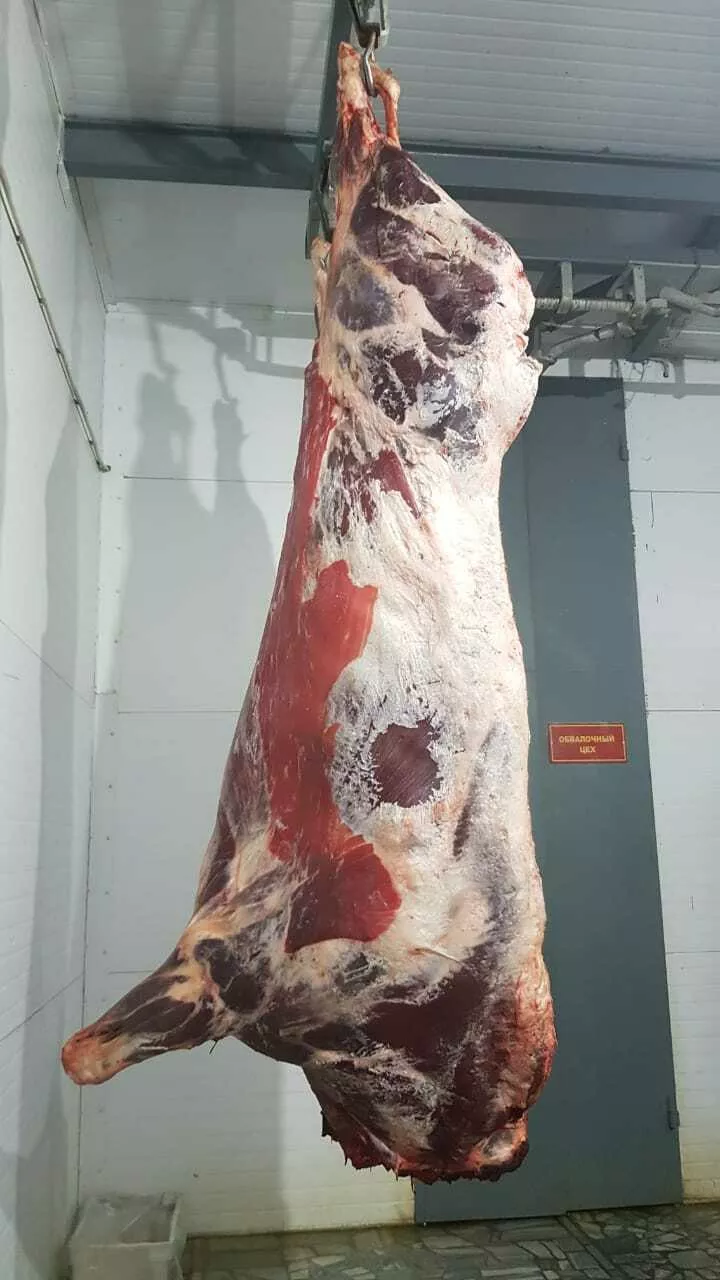 мясо говядины, субпродукты 1 категории в Казани