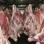 охлажденное мясо говядины в Казани и Республике Татарстан 3