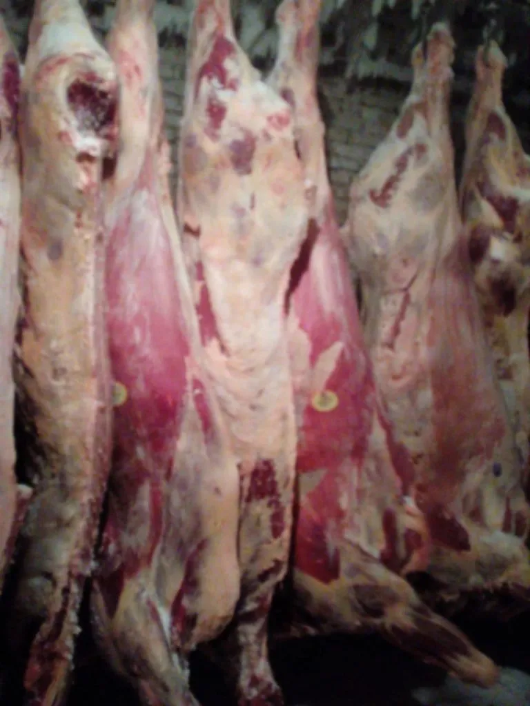 фотография продукта Мясо, говядину п/т 200...р/кг Россия