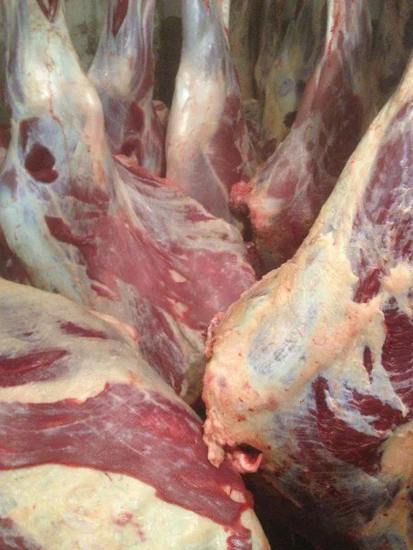 мясо оптом в Казани
