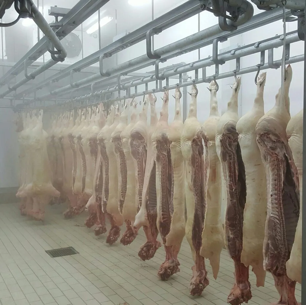 фотография продукта Мясо свинины полутуши 1кат. 160р/кг
