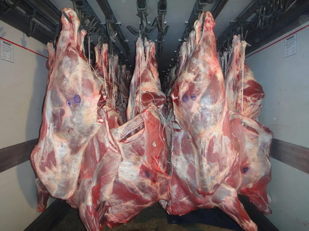 фотография продукта Мясо говядина охлажденное, замороженное