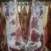 охлажденное мясо халяль (бык) в Казани