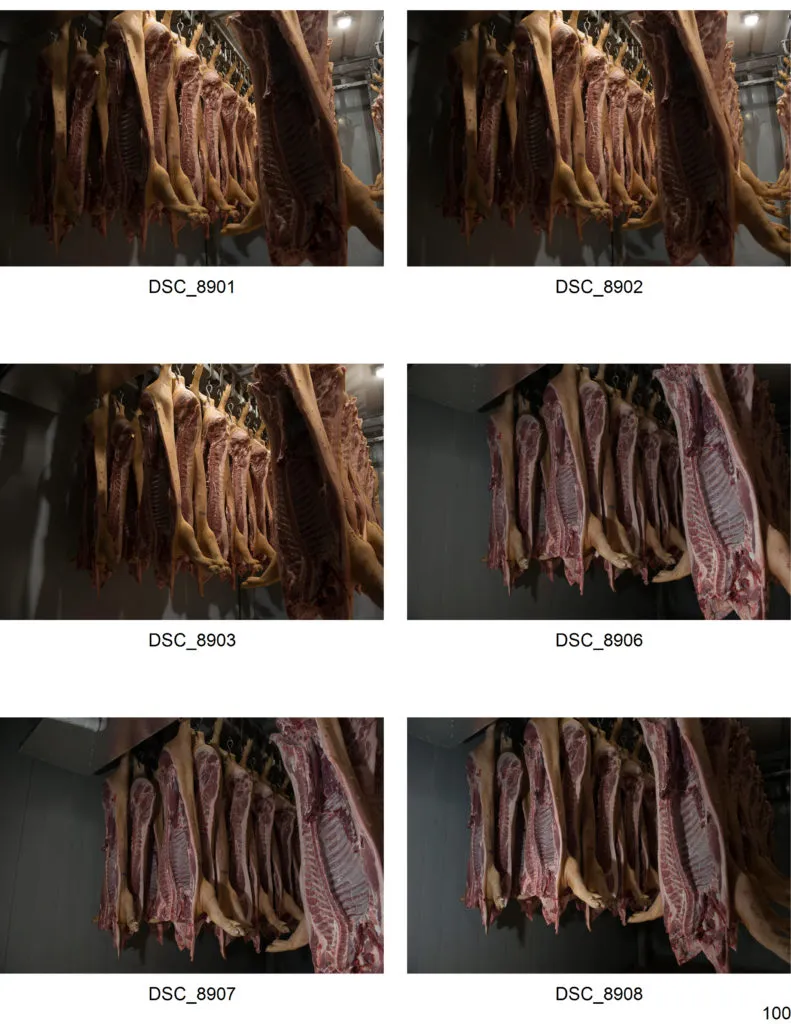 фотография продукта Мясо свинины в полутушах бекон 