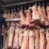 продаю мясо баранины (курдючное) в Казани