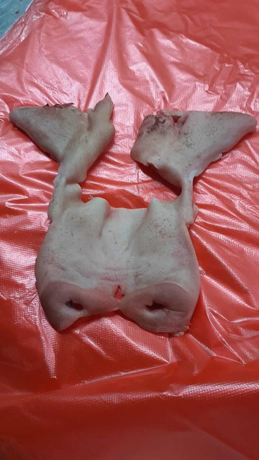 маска свиная в России 5