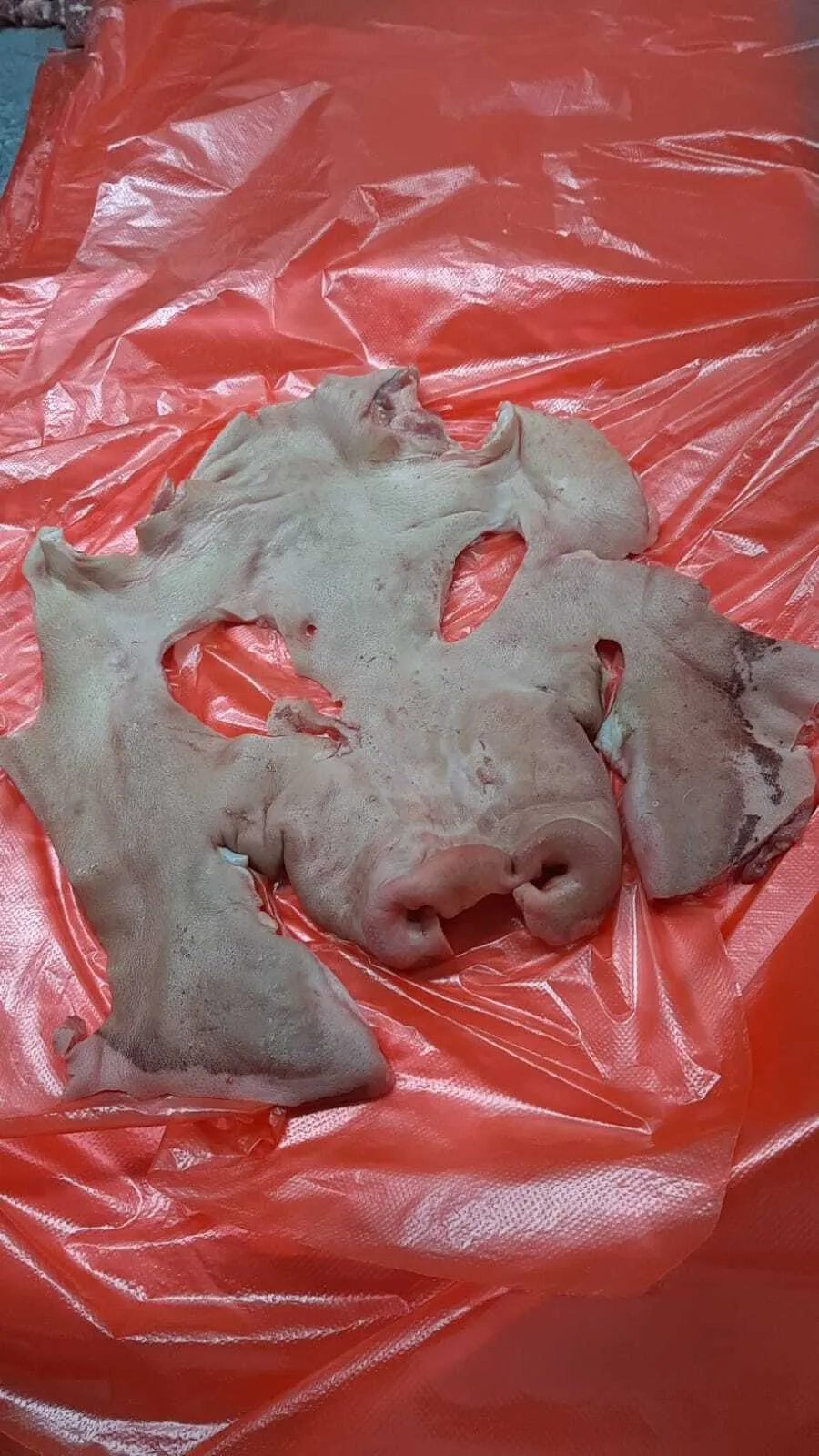 маска свиная в России 3