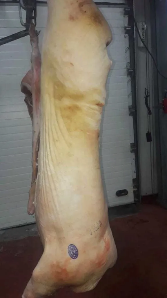 свинина в полу тушах  149 рублей кг в Буинске 6
