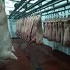 свинина в полу тушах  149 рублей кг в Буинске 5