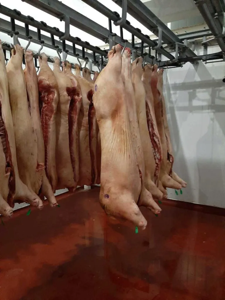 свинина в полу тушах  149 рублей кг в Буинске 3