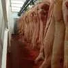 свинина в полу тушах  149 рублей кг в Буинске