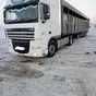 перевозка скотовозами по России Халяль в Казани и Республике Татарстан