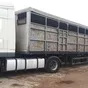 перевозка скотовозами по России Халяль в Казани и Республике Татарстан 2