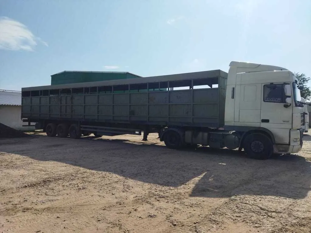 перевозка скотовозами по России Халяль в Казани и Республике Татарстан 5