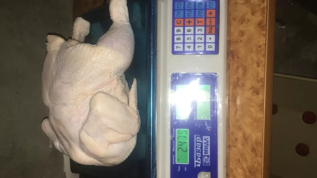 продаём мясо птицы в Казани и Республике Татарстан