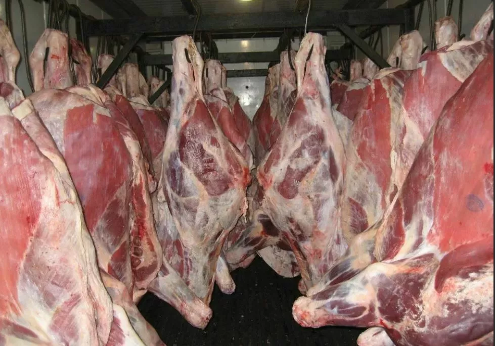 охлажденное мясо говядины в Казани и Республике Татарстан 2