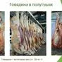 мясо говядина, халяль в Казани и Республике Татарстан 8
