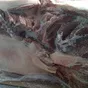 свинина жилованная односортная 60% в Казани